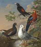 Philip Reinagle A Moorhen, A Gull, A Scarlet Macaw and Red-Rumped A Cacique By a Stream in a Landscape oil painting artist